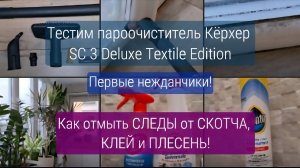 Тестим пароочиститель Кёрхер SC 3 Deluxe. Первые стёртые насадки. Борьба с КЛЕЕМ и ПЛЕСЕНЬЮ 19.06.25