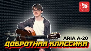Классическая гитара ARIA A-20