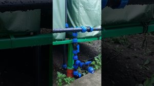 Еврокубы для сбора дождевой воды. Предельно просто и надёжно.