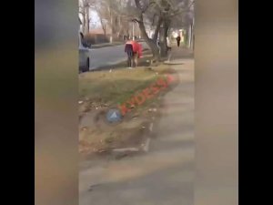 Полицейские открыли стрельбу, чтобы защитить женщину от собаки