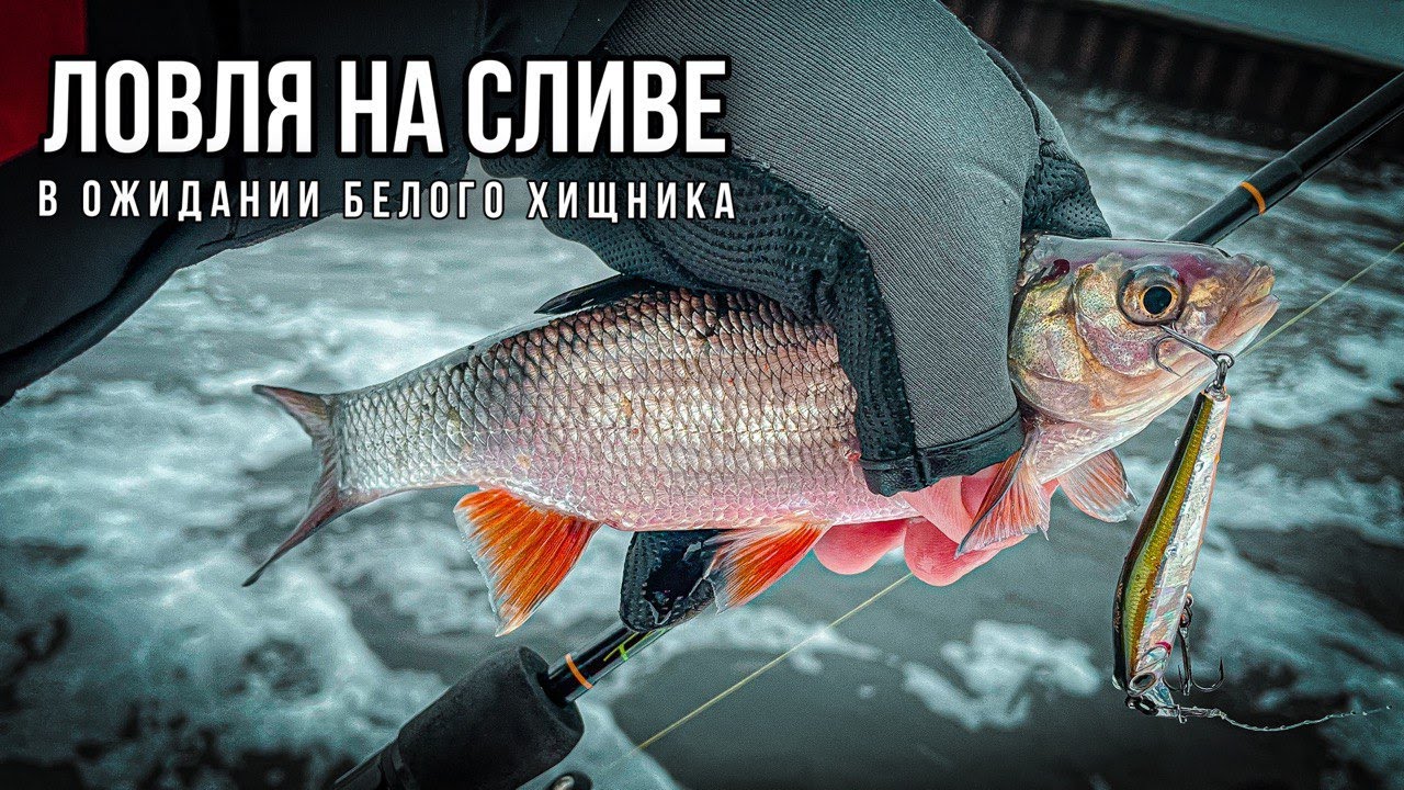 ГДЕ ТЫ, БЕЛЫЙ? 🐻❄️ / ЗИМНЯЯ ЛОВЛЯ НА СЛИВЕ 💦 смотреть онлайн