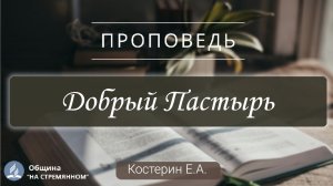 Добрый Пастырь |  Христианские проповеди АСД | Костерин Евгений Андреевич
