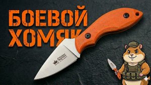 Hammy — боевой малыш
