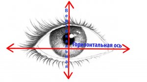ТЕОРИЯ  «ГОРИЗОНТАЛЬНАЯ И ВЕРТИКАЛЬНАЯ ОСЬ ГЛАЗА «