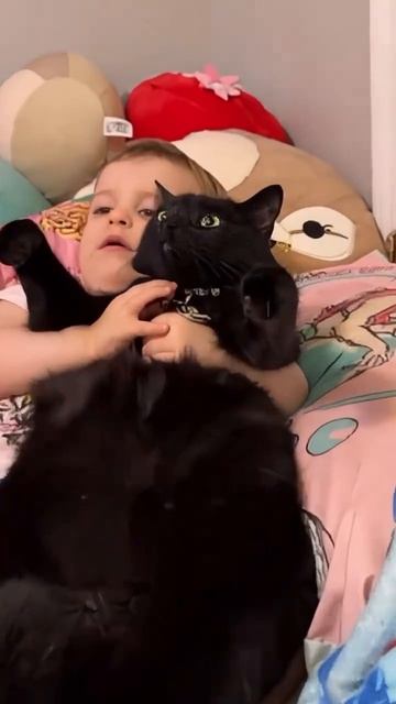 Дети и котики смотреть онлайн