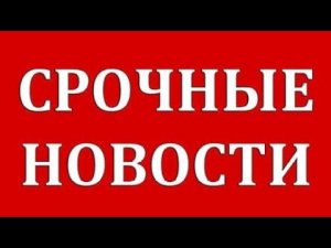 поток cash или cashflow новости меркурий.  поток кэш нет выплат что делать