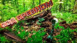 Стоило пнуть бревно!Скифы,Аланы, Хазары, здесь было все!