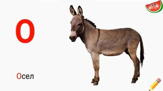 учим алфавит смотреть онлайн