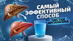 ДЕТОКС. Как очистить организм от шлаков и токсинов