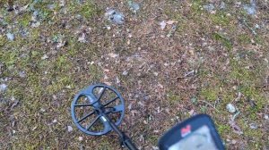 Думаешь купить Minelab Equinox 700? Посмотри перед покупкой, лучше ли Мантикоры?