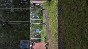 общение цирк