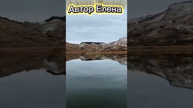 25568.mp4 смотреть онлайн
