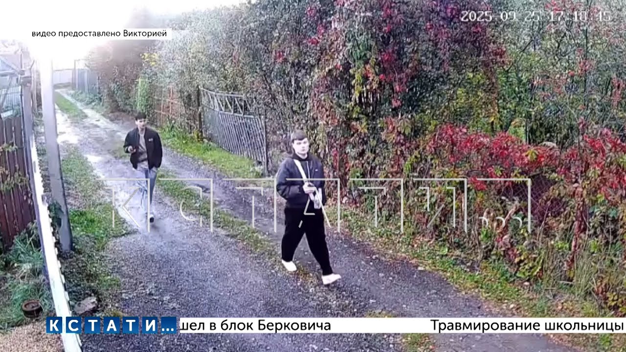 Садоводы сняли скрытой камерой наркоторговцев, выяснили где прячут наркотики и вызвали журналистов смотреть онлайн