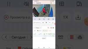 hikvision hik-connect AcuSense распознавание в кадре человека быстрый поиск по событиям