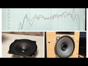 10ГДШ с Рупорком и БЕЗ! Кардинально противоположная АЧХ!