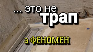 Чудо - ТРАП! Что делать дальше?