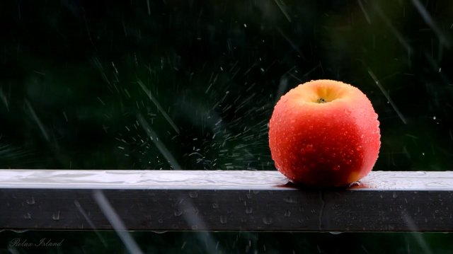 УСПОКАИВАЮЩИЙ ЛЕТНИЙ ШУМ ДОЖДЯ ДЛЯ СНА ✨ РАССЛАБЛЯЮЩИЙ ЗВУК ДОЖДЯ ✨ НЕЖНЫЕ ЗВУКИ ПРИРОДЫ ДЛЯ СНА УСПОКАИВАЮЩИЙ ЛЕТНИЙ ШУМ ДОЖДЯ ДЛЯ СНА ✨ РАССЛАБЛЯЮЩИЙ ЗВУК ДОЖДЯ ✨ НЕЖНЫЕ ЗВУКИ ПРИРОДЫ ДЛЯ СНА