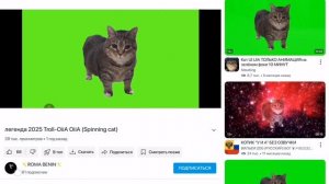 мы посмотрели самые смешные видео.
