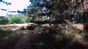 АНЖЕЛИКА СНЕЖИНСКАЯ СМОТРИТ СКРЫТУЮ КАМЕРУ. ОПЯТЬ ОБМАНЫВАЕТ ЗРИТЕЛЕЙ