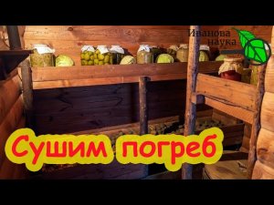КАК ИЗБАВИТЬСЯ ОТ СЫРОСТИ В ПОГРЕБЕ ЗА 5 МИНУТ? Разбираем способы по ситуации.