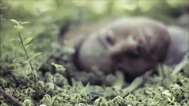 Атлантида - Разум