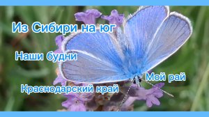 27-06-2026/Краснодарский край/Живём на юге//Облагораживаем участок//Ягода/Погода/Цветочный рай/