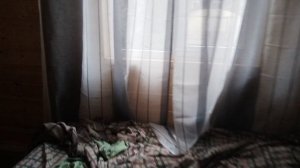 27.06.2026г. Всем добрый вечер. Моросит дождик 🌧️.Обзор из окон моего домика.Курочки 🐔 уже спят