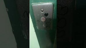 Лифт МЛМ и домофон Vizit бвд 311 буд 301м