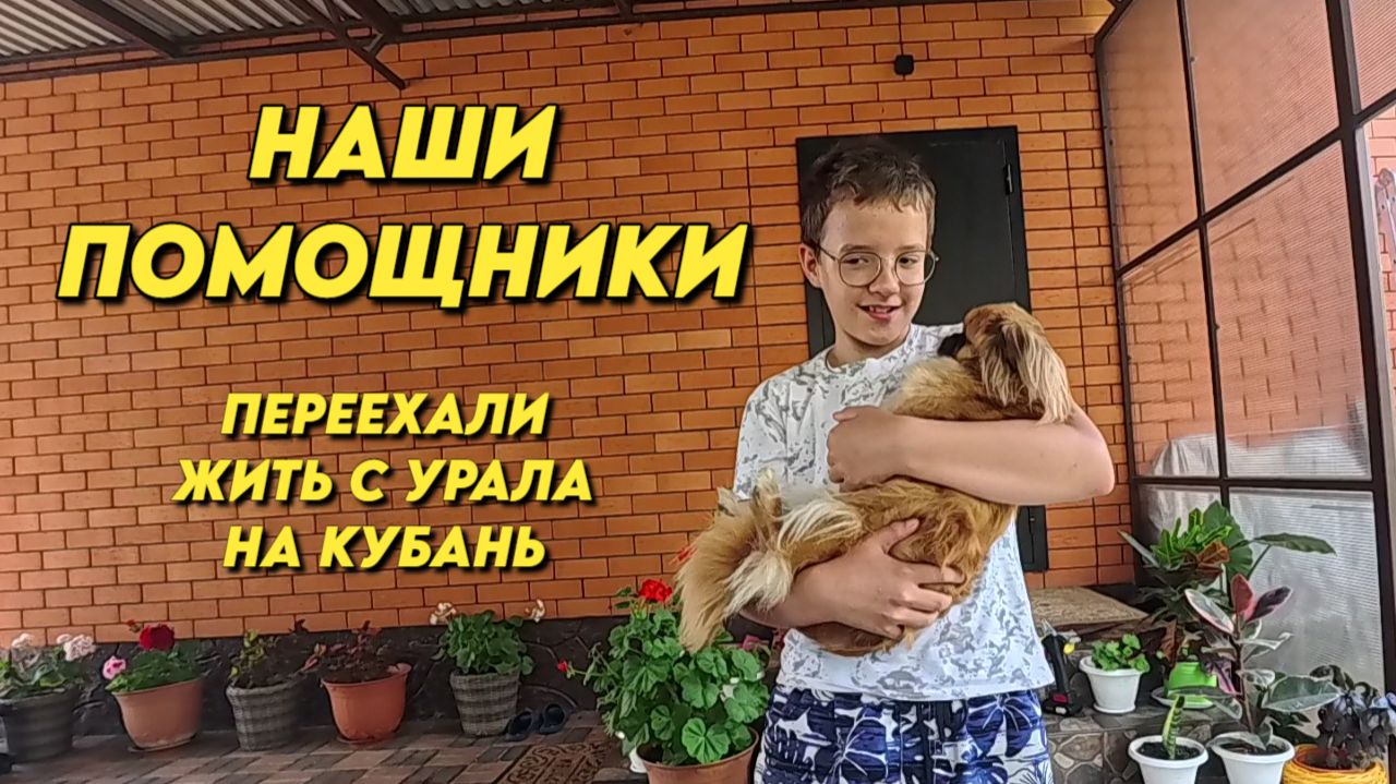 1169 Повседневная жизнь семьи на юге России/Навожу порядок в нашем саду смотреть онлайн