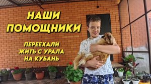 1169 Повседневная жизнь семьи на юге России/Навожу порядок в нашем саду