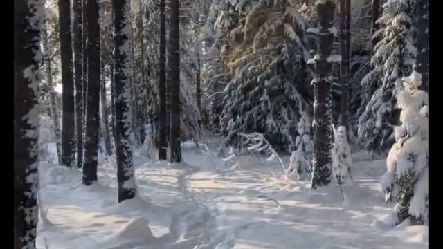 Гарик Южный - Протопи мне баню. Музыка для души #sni