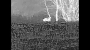 Воспоминания о сезоне прошедшем в Волгоградских степях. Часть 6