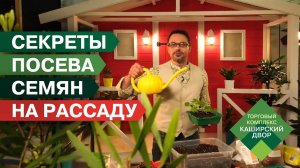 ✅Самый лучший способ посева семян на рассаду! Идеальный ГРУНТ ДЛЯ РАССАДЫ | Рассада огурцов 🥒