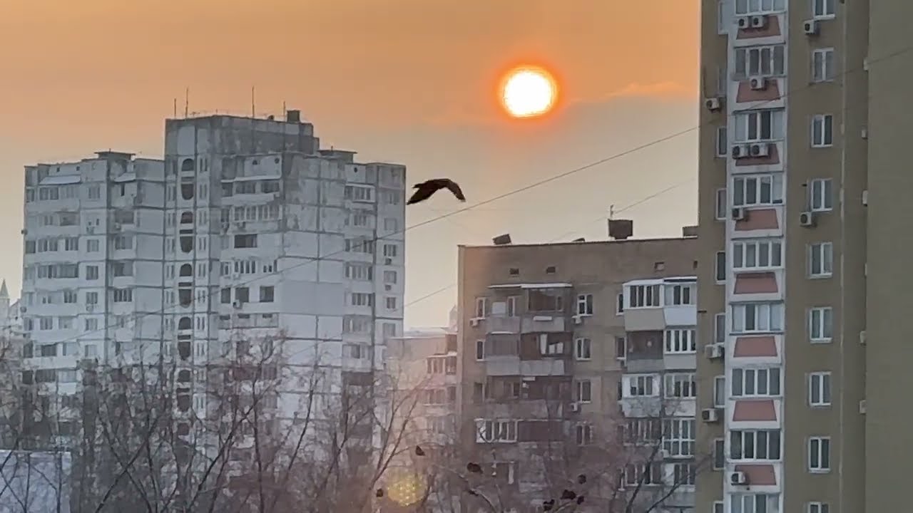 КИЕВ СЕГОДНЯ 14 января 2026 15:30 -11° Украина/KIEV UKRAINE 4K #kiev #metro #київ #киев смотреть онлайн