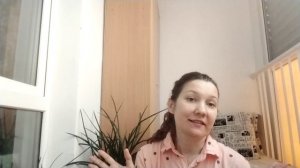 Блогеры ругаются, но продолжают жр.ть 😜кактус 🌵