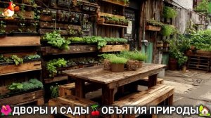 Дворы и сады 🍒 идеи оформления дачи в объятиях природы 🏡 (22) 🍒