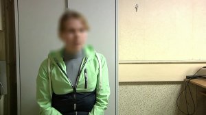 Дистанционные мошенники