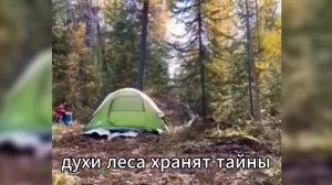 Такое не увидишь каждый день! Камера засняла УЖАСАЮЩИХ существ в лесу