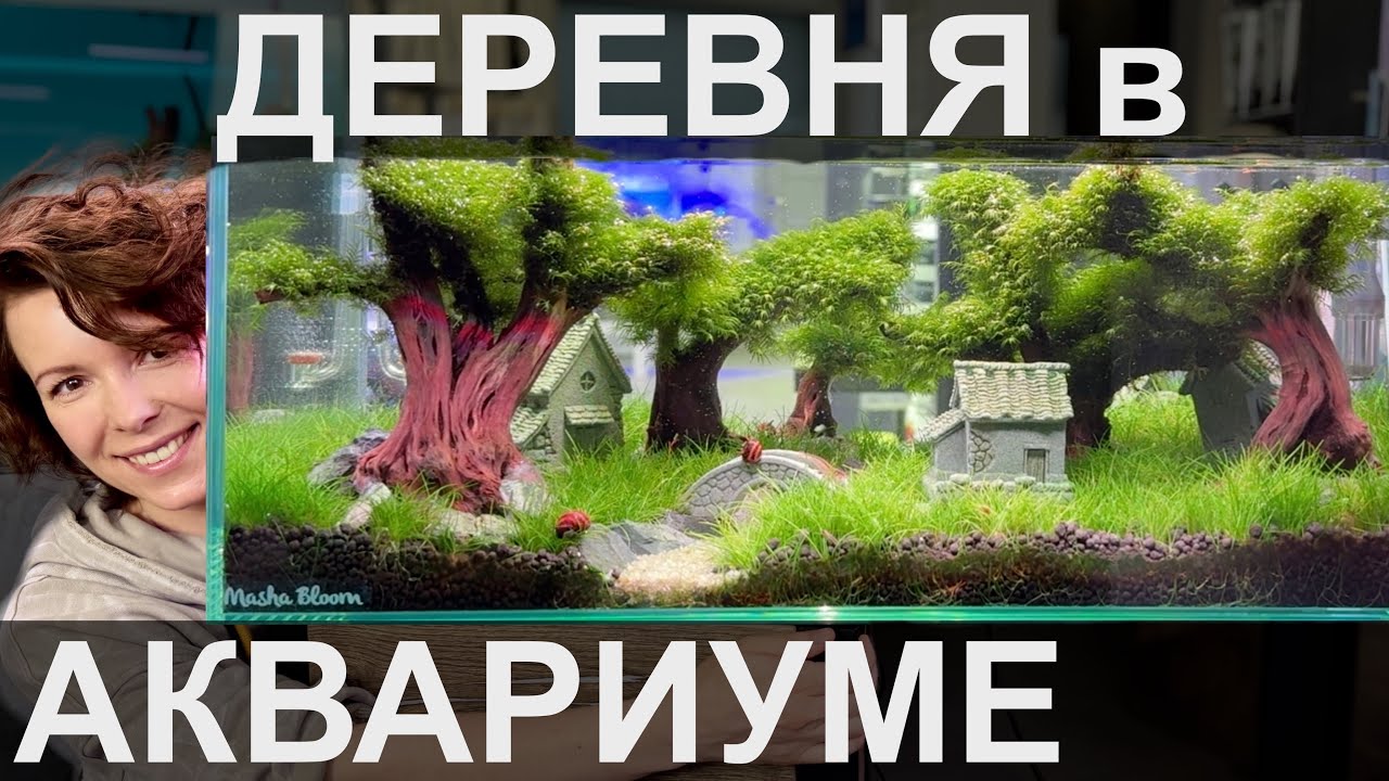 Аквариум для детей | Фильтр-рюкзачок | Дизайн аквариума | Маша Блюм смотреть онлайн