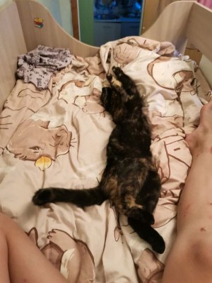 Кароче мы дома одни