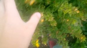 Природа меняется.