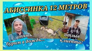 АБИССИНКА 12 МЕТРОВ/ДОЖДЬ КАК ВСЕГДА НЕВОВРЕМЯ/ОТЗЫВ КЛИЕНТА.