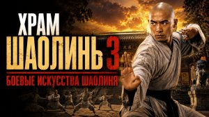 Храм Шаолинь 3: Боевые искусства Шаолиня | Nan bei Shao Lin (1985)