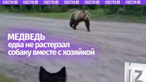 Медведь пытался напасть на девушку с собакой: пугающие кадры из Канады