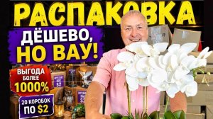 20 потерянных посылок по $2! Нашли товаров почти на $600!