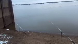 VID_20260411_172126.mp4