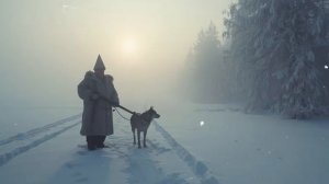 Якутия | лесной рассказ