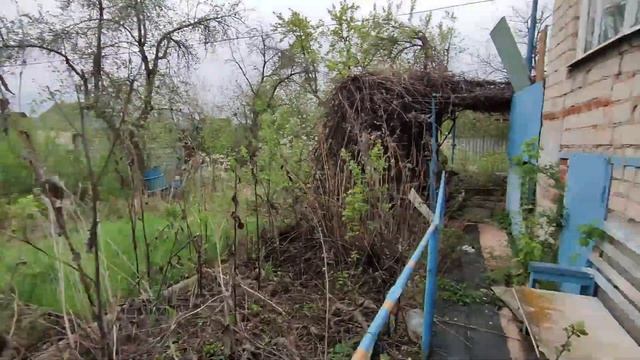 Дача Родник-1 смотреть онлайн