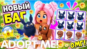 НОВЫЙ БАГ!😱 КАК ПОЛУЧИТЬ МНОГО НОЧНЫХ СОВ В АДОПТ МИ?😯 Stygian Owl & Bone in the Bottle!🦴ADOPT ME