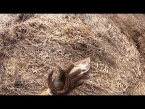 Открытие сезона коп металла. Поднимаем мелкие железяки.